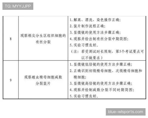 青少年足球规则的关键判罚标准与适用细则解析